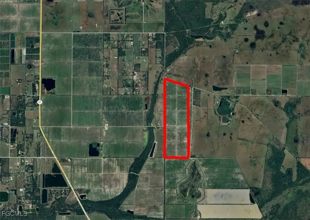 7019 SE Prairie Creek Road Arcadia FL 34266