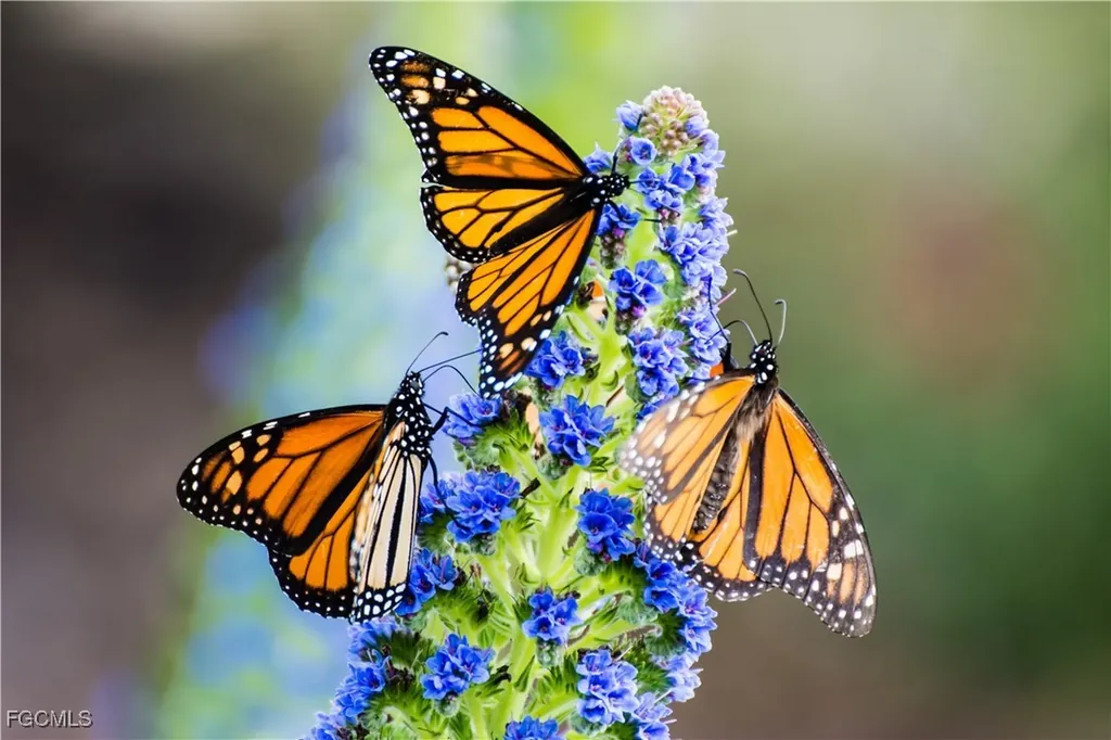 4407 SW 19th Avenue Cape Coral FL 33914