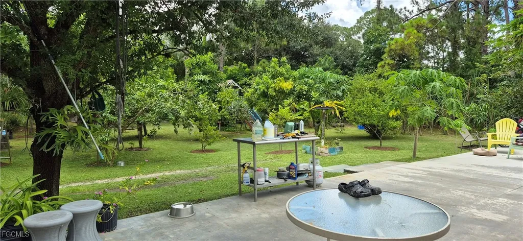 2011 Leroy Avenue Alva FL 33920