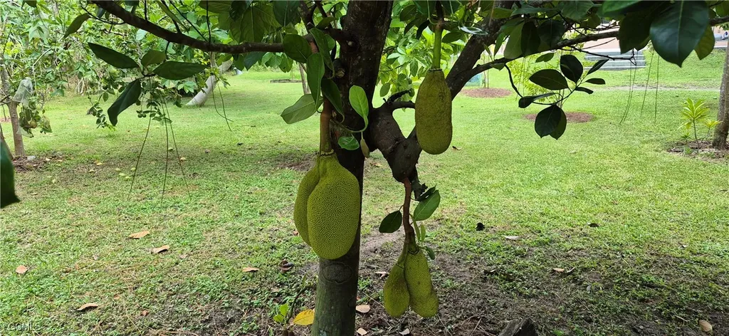 2011 Leroy Avenue Alva FL 33920