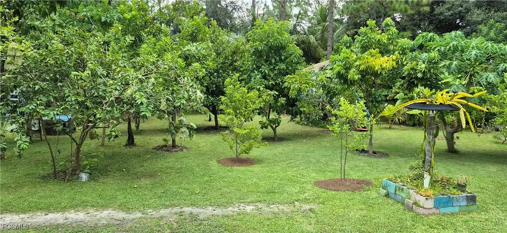 2011 Leroy Avenue Alva FL 33920