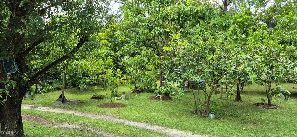 2011 Leroy Avenue Alva FL 33920