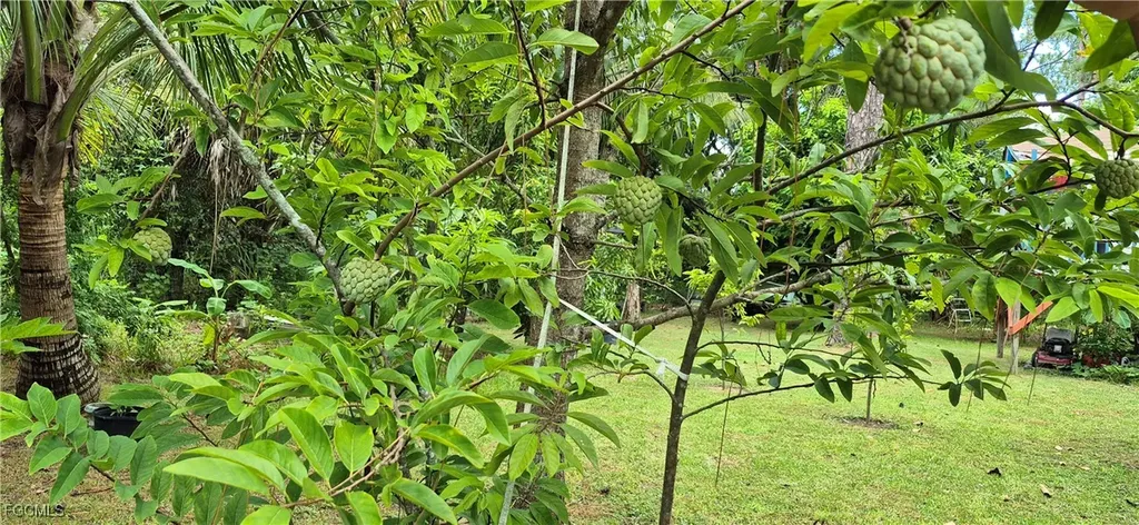 2011 Leroy Avenue Alva FL 33920