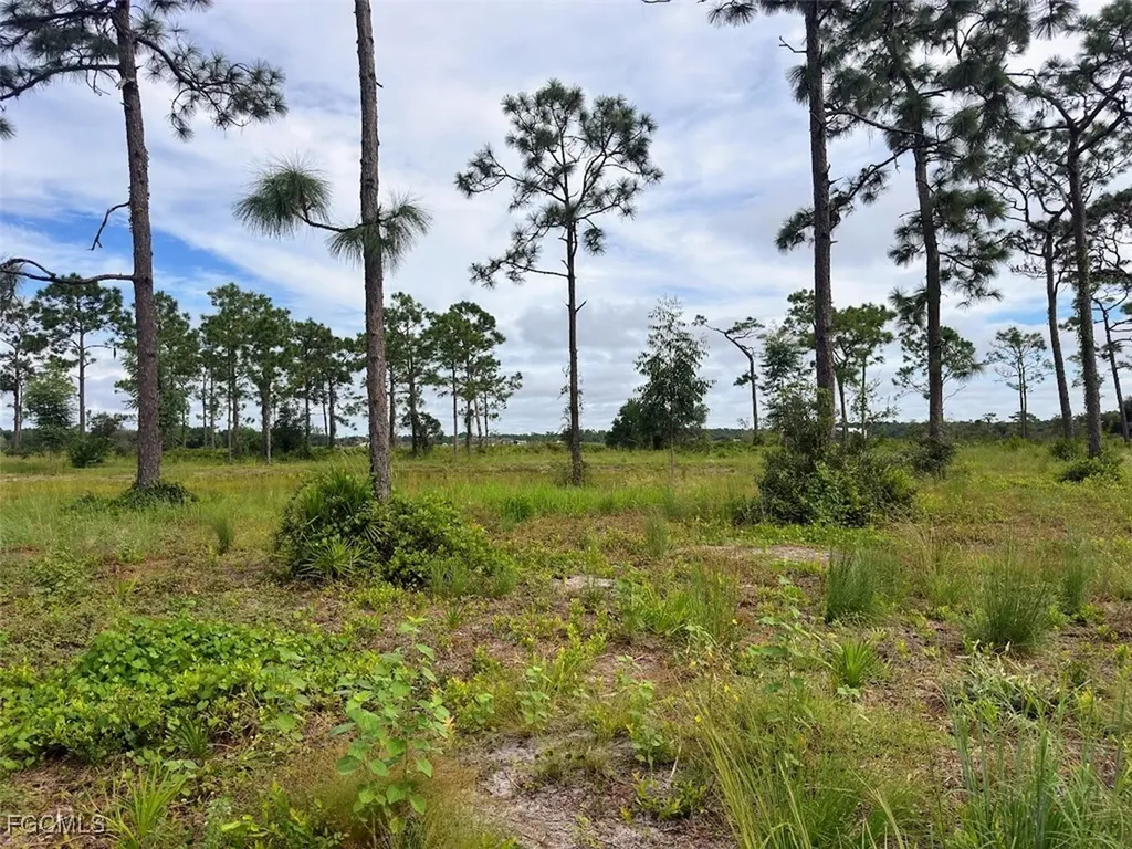 Summerall Road Labelle FL 33935