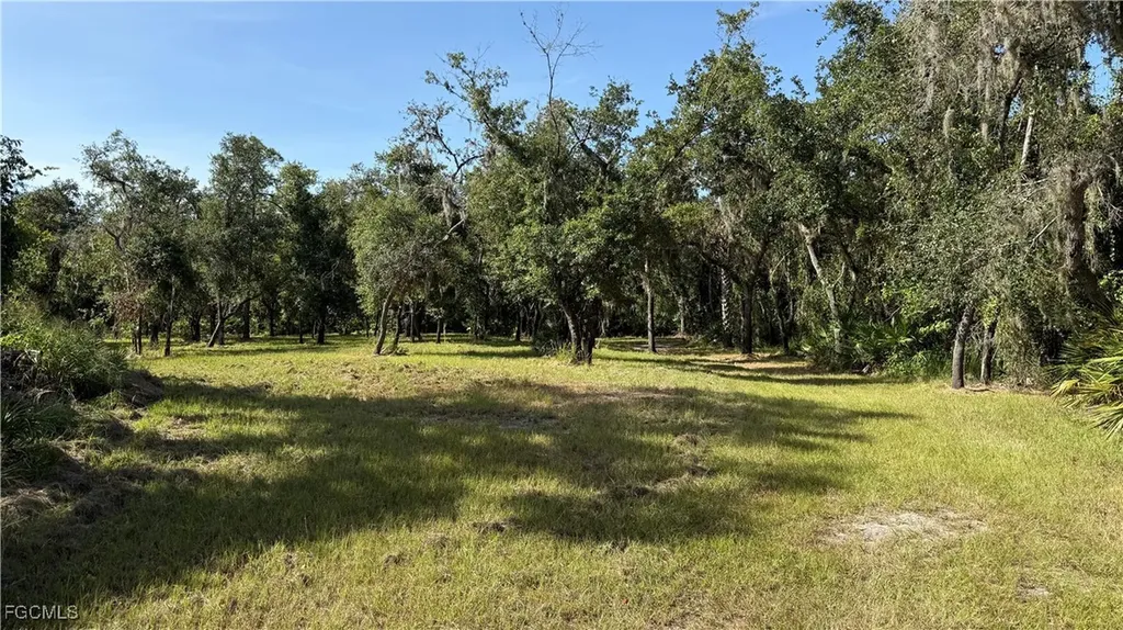 1144 NW Peace Pointe Drive Arcadia FL 34266