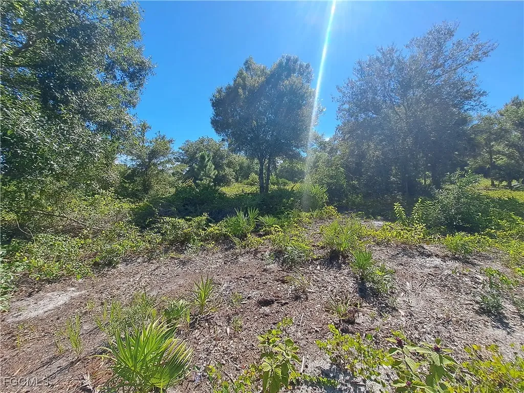 330 S Cabbage Palm Street Clewiston FL 33440