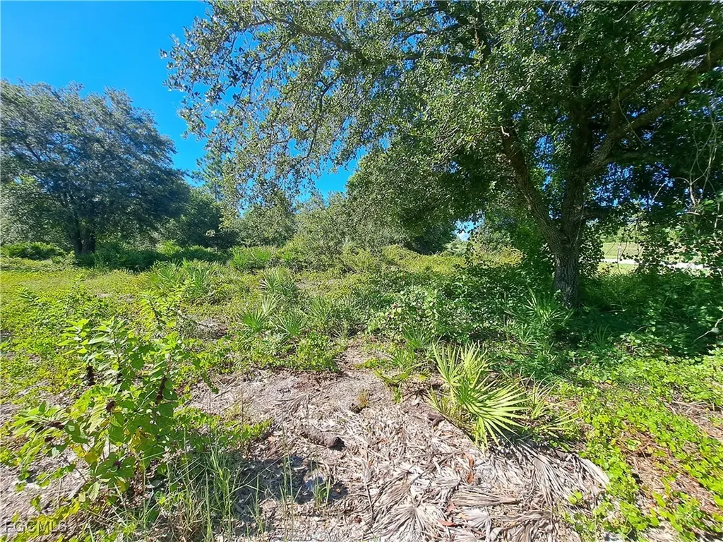 330 S Cabbage Palm Street Clewiston FL 33440