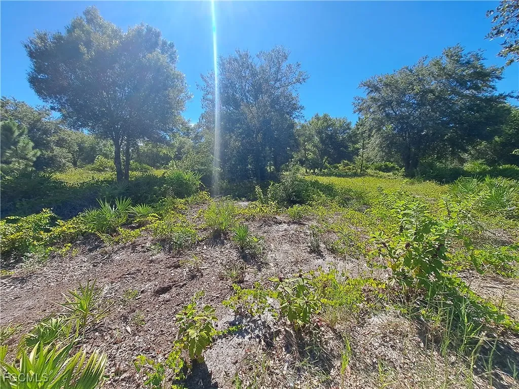 330 S Cabbage Palm Street Clewiston FL 33440