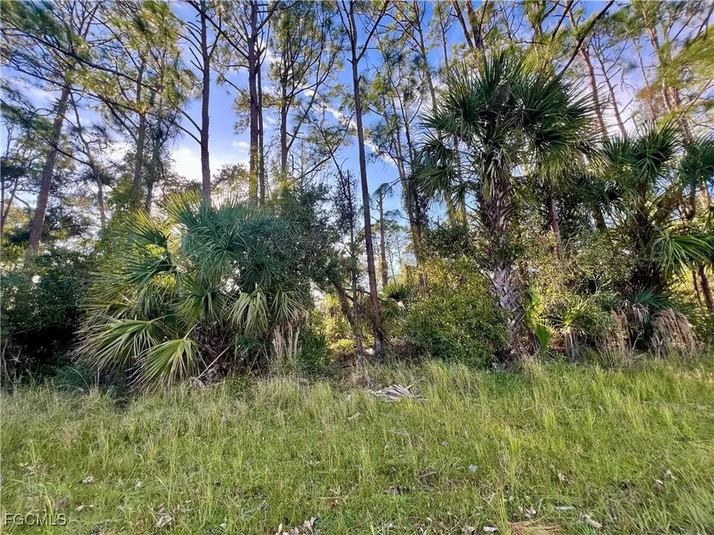Lummus Street North Port FL 34286