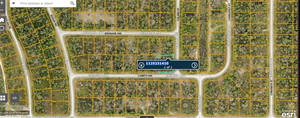 Lot 10 Calaba Street North Port FL 34288