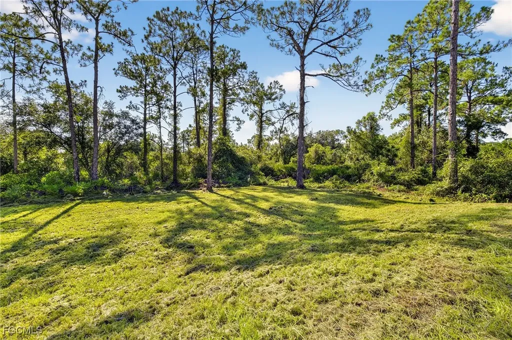 2006 Mcarthur Avenue Alva FL 33920