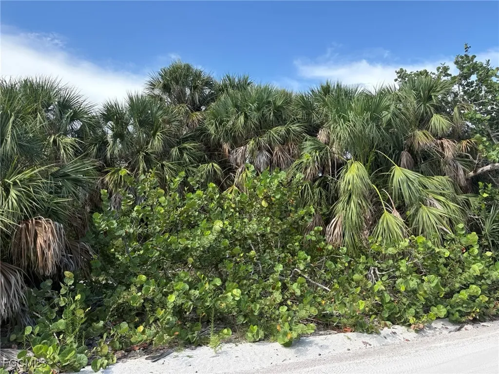 4490 Conch Shell Drive Captiva FL 33924