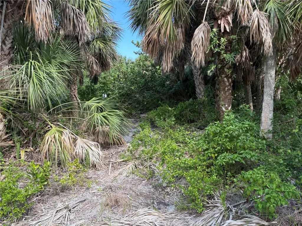 4490 Conch Shell Drive Captiva FL 33924