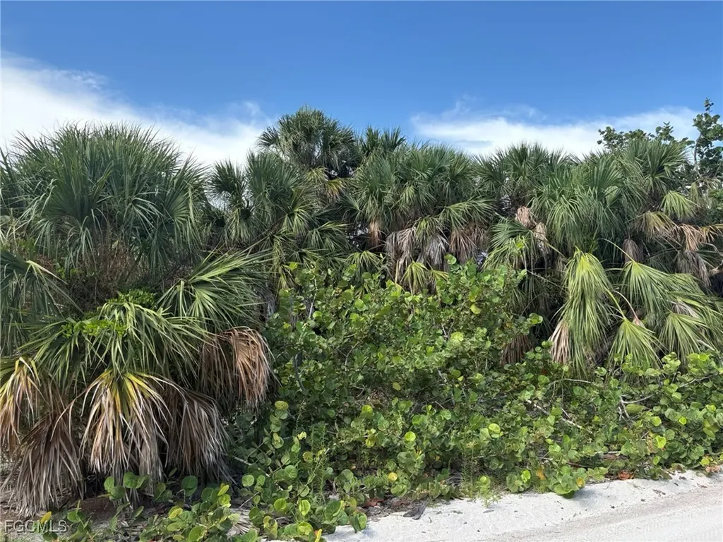 4490 Conch Shell Drive Captiva FL 33924