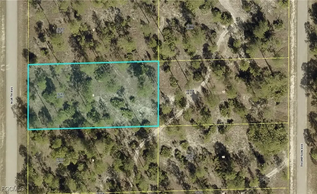 1214 North Avenue Lehigh Acres FL 33972