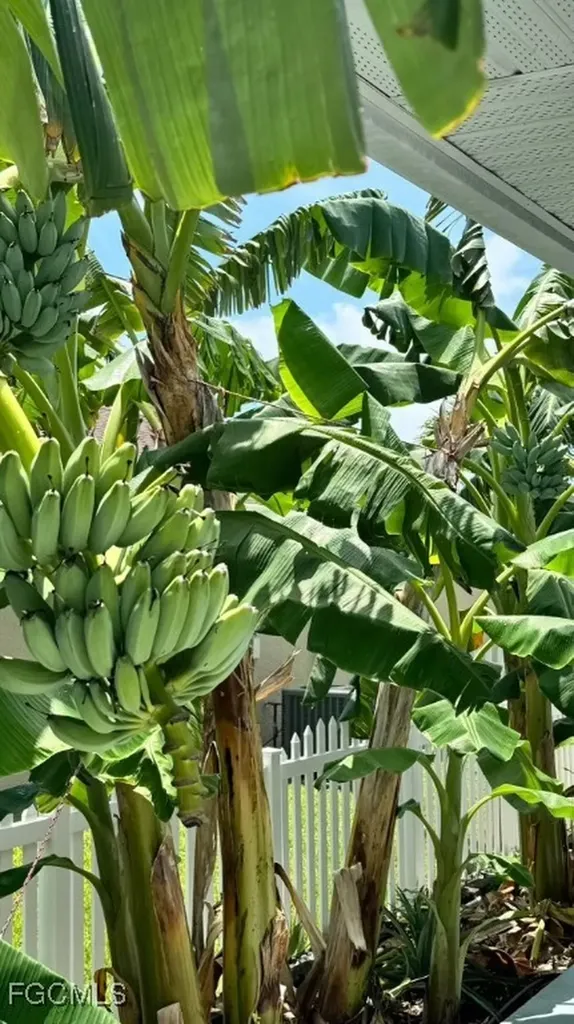 2711 SW 27th Street Cape Coral FL 33914