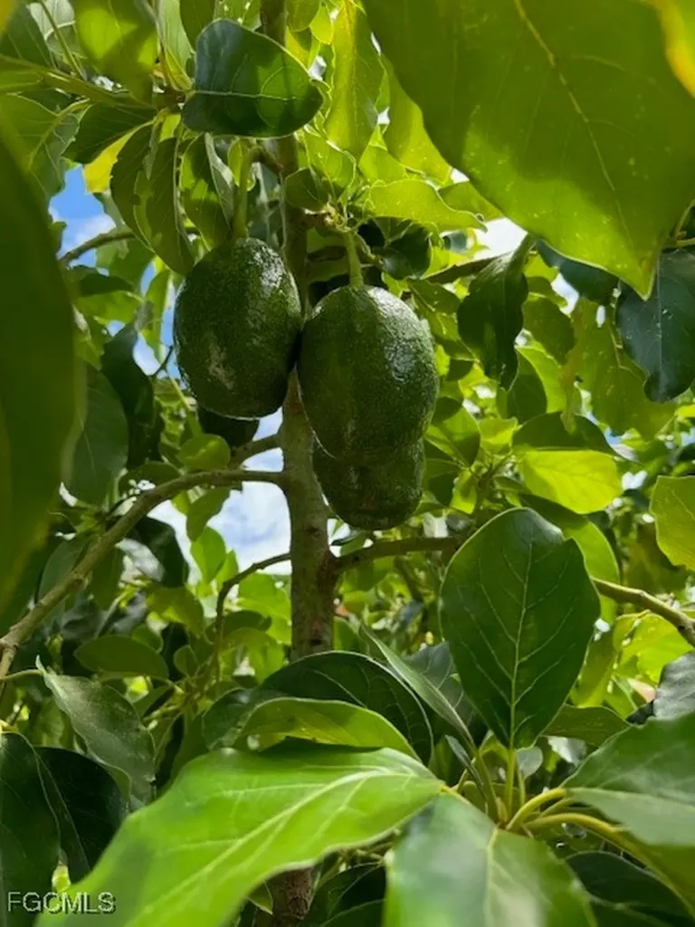 2711 SW 27th Street Cape Coral FL 33914