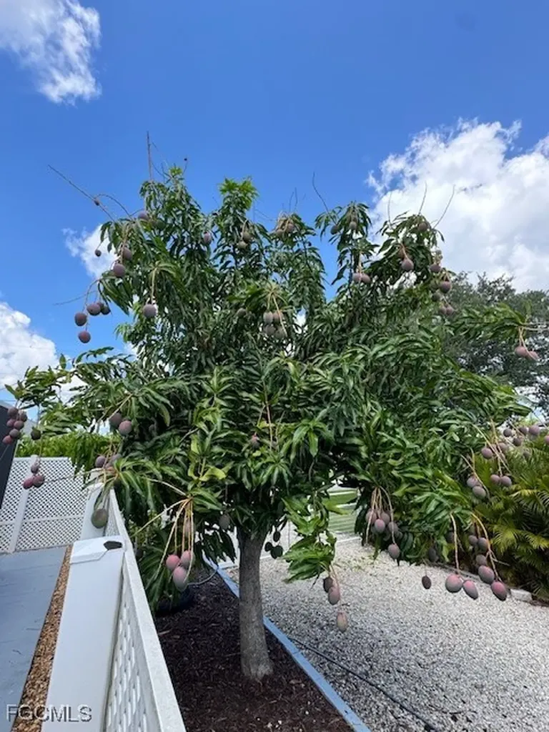 2711 SW 27th Street Cape Coral FL 33914