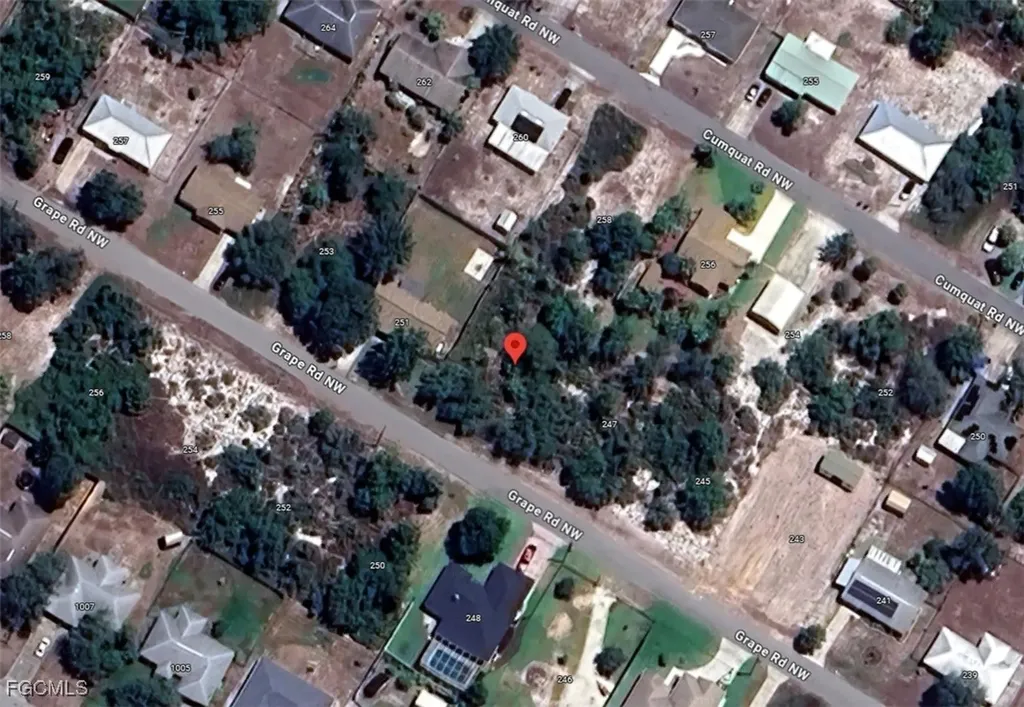 249 Grape Road NW Lake Placid FL 33852