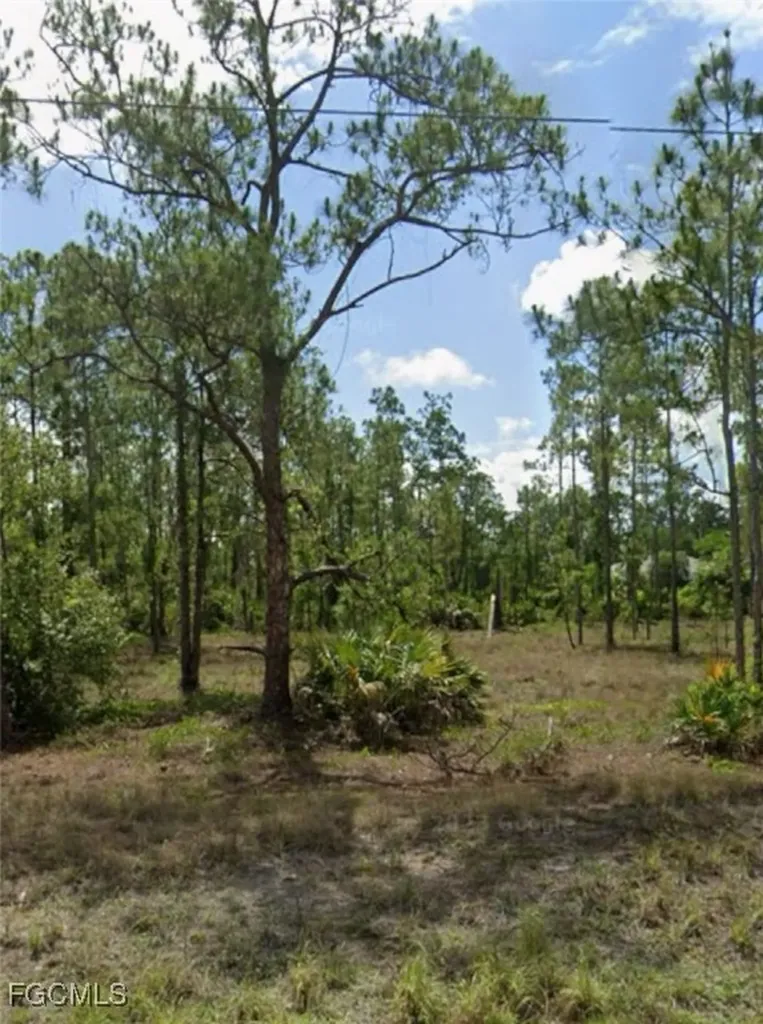 1114 Moore Avenue Lehigh Acres FL 33972