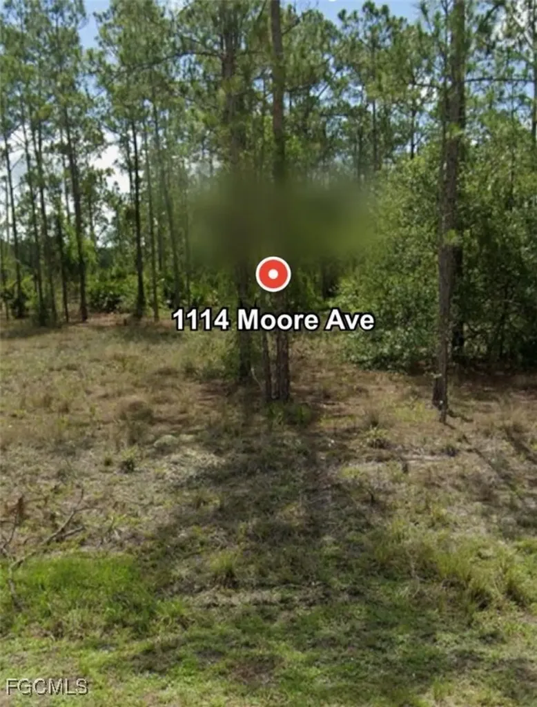 1114 Moore Avenue Lehigh Acres FL 33972
