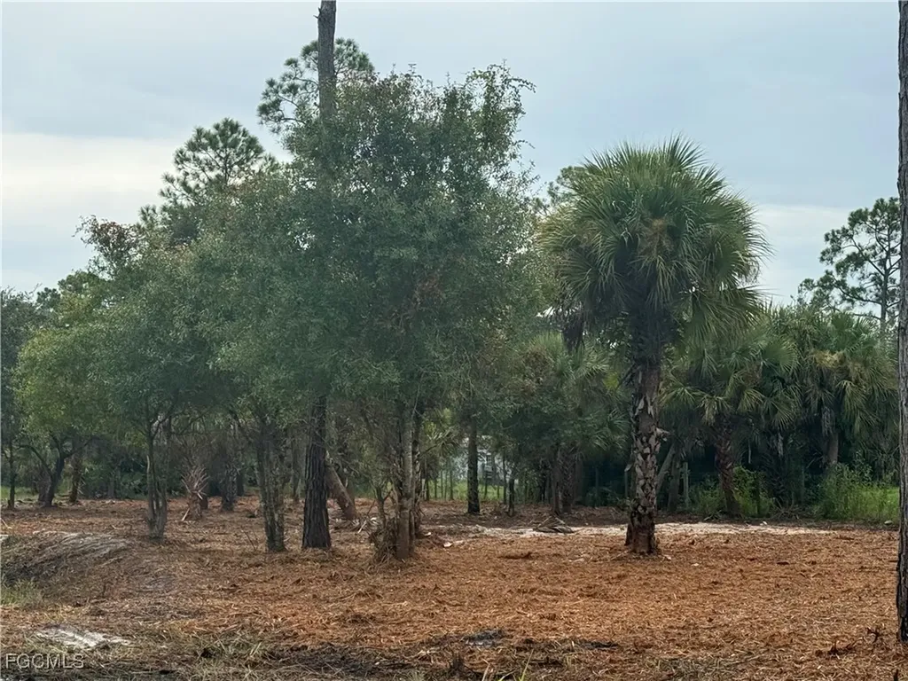 565 S Datil Street Clewiston FL 33440