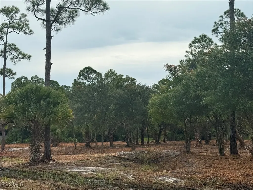 565 S Datil Street Clewiston FL 33440