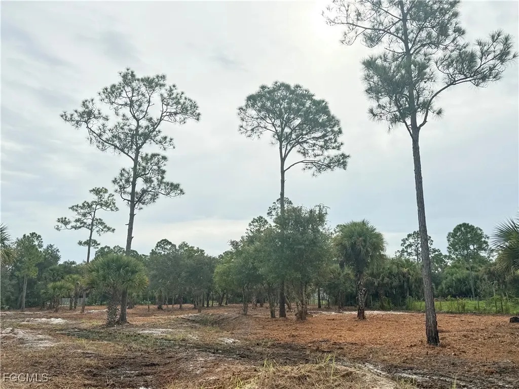 565 S Datil Street Clewiston FL 33440