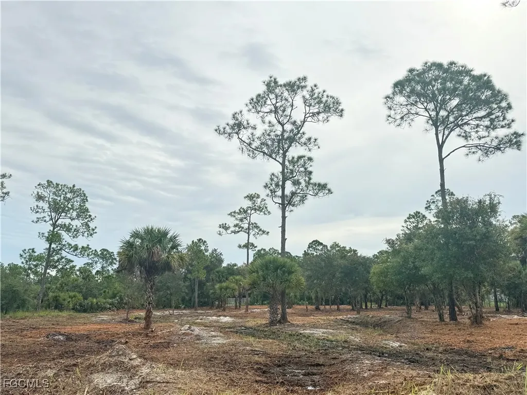 565 S Datil Street Clewiston FL 33440