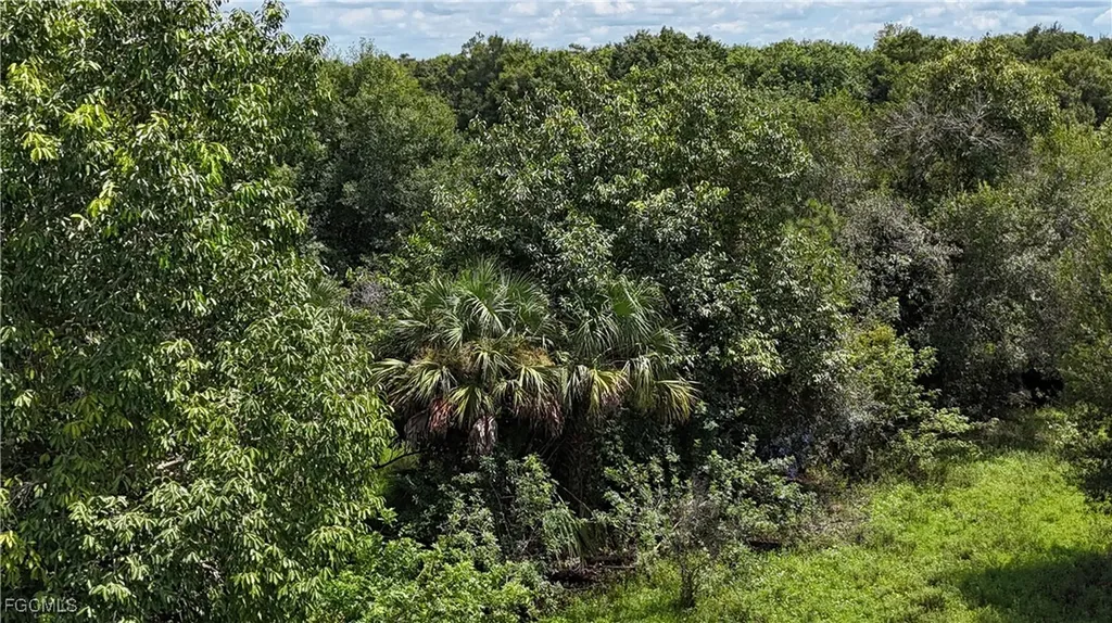 Anhinga Anhinga Road Naples FL 34120