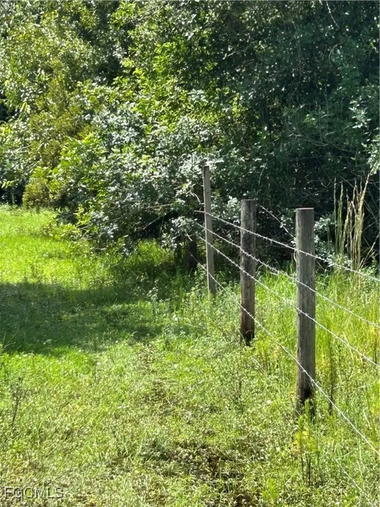 Anhinga Anhinga Road Naples FL 34120