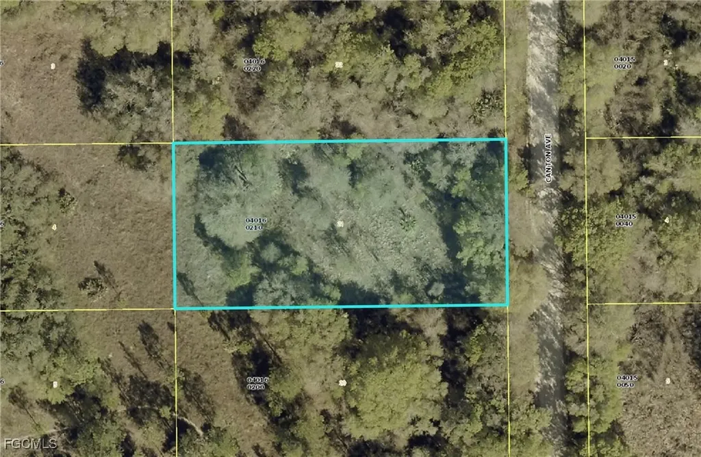 1317 Canton Avenue Lehigh Acres FL 33972