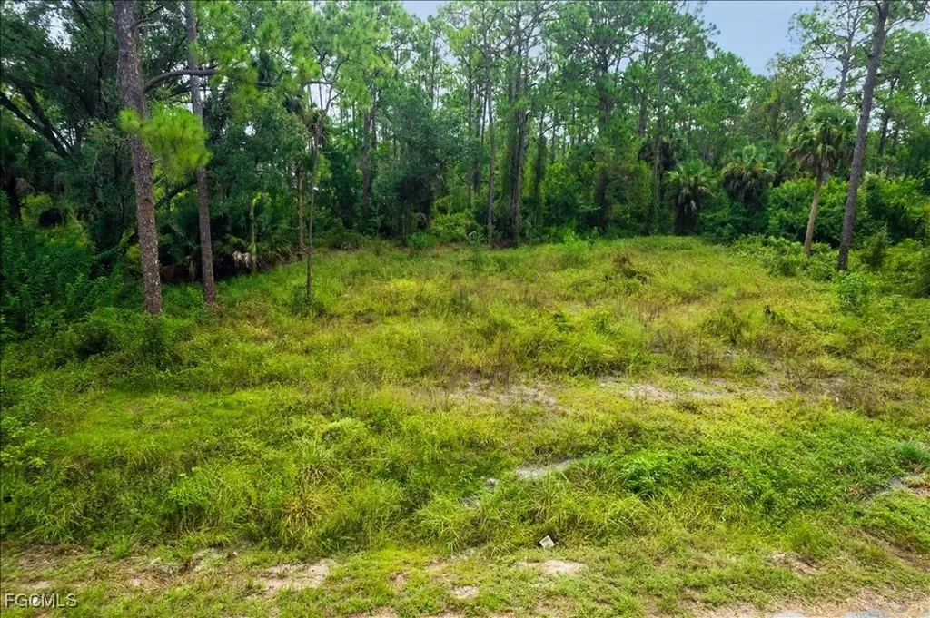 1116 Prospect Avenue Lehigh Acres FL 33972