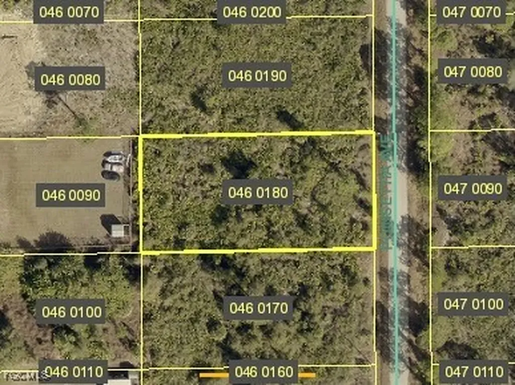 1109 Poinsettia Avenue Lehigh Acres FL 33972