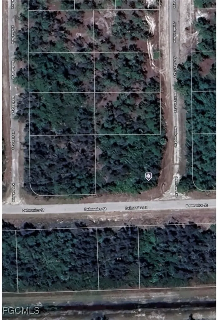 1014 Jernican Avenue Lehigh Acres FL 33936