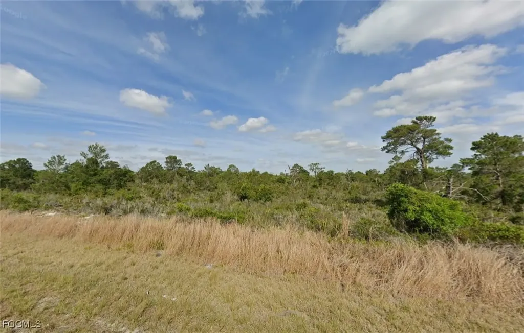 237 Sandpiper Street Lake Placid FL 33852