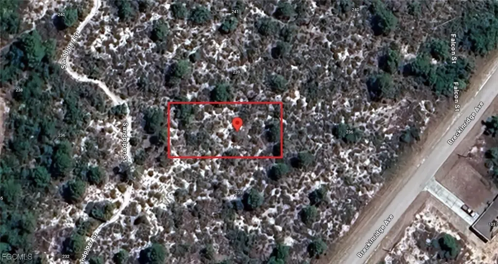 237 Sandpiper Street Lake Placid FL 33852