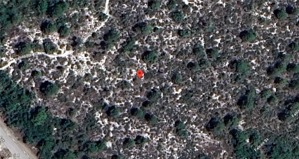 237 Sandpiper Street Lake Placid FL 33852