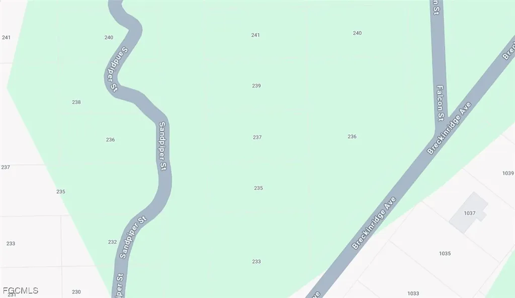 237 Sandpiper Street Lake Placid FL 33852