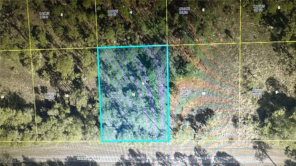 1243 Random Street E Lehigh Acres FL 33974