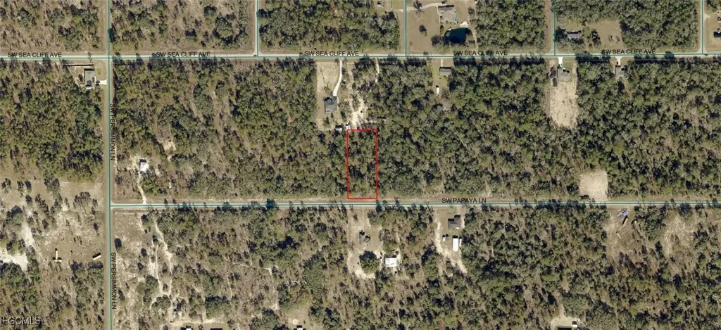 1806-002-033 SW Papaya Lane Dunnellon FL 34431