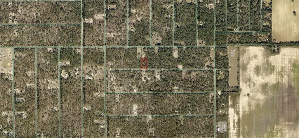 1806-002-033 SW Papaya Lane Dunnellon FL 34431