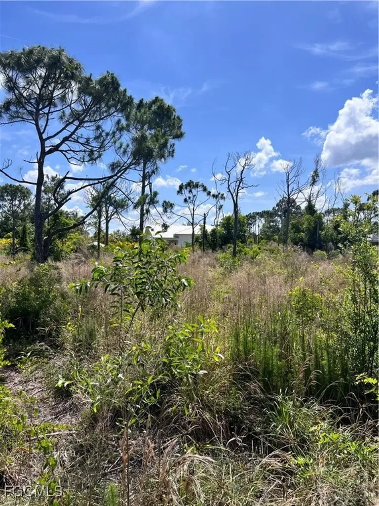 8746 Nome Court St. James City FL 33956