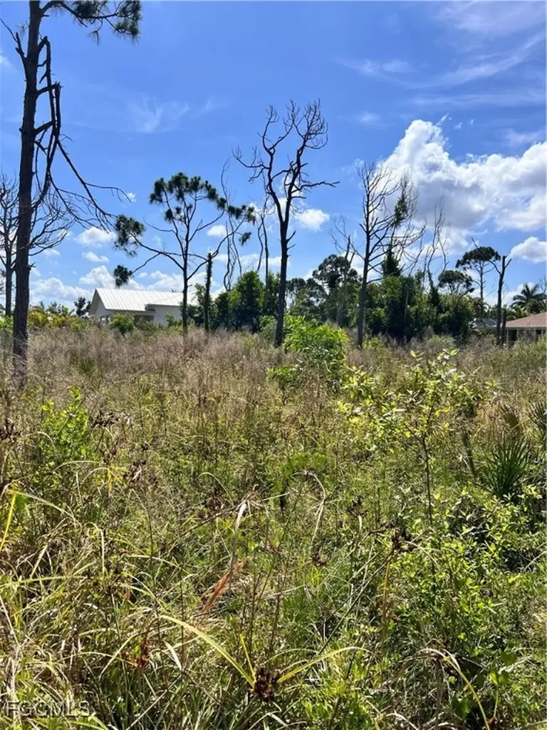 8746 Nome Court St. James City FL 33956