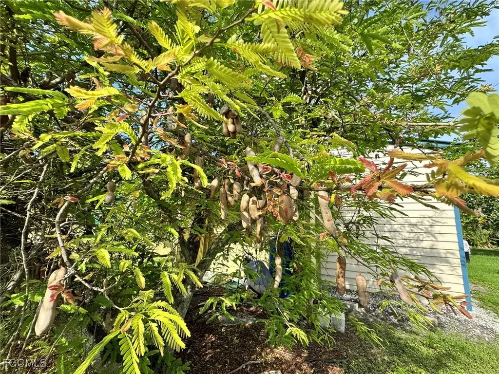 10464 Betsy Parkway St. James City FL 33956