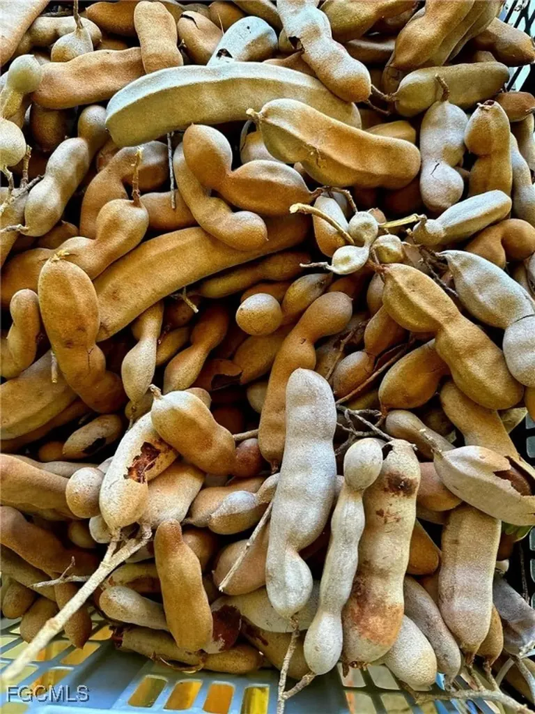 10464 Betsy Parkway St. James City FL 33956