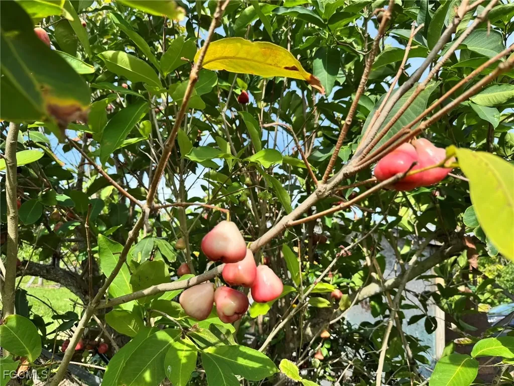 10464 Betsy Parkway St. James City FL 33956