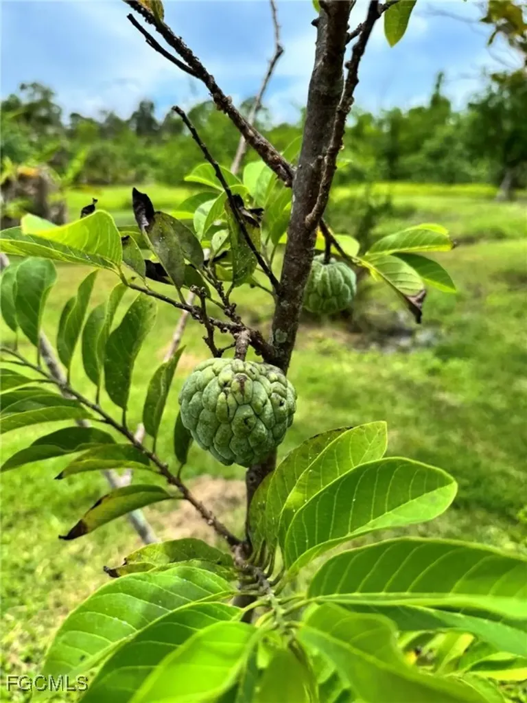 10464 Betsy Parkway St. James City FL 33956