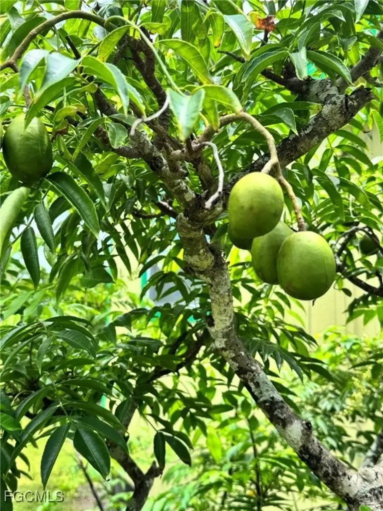 10464 Betsy Parkway St. James City FL 33956