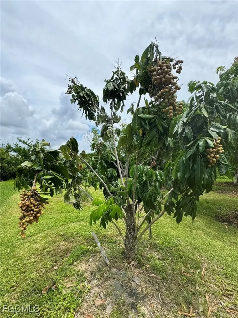 10464 Betsy Parkway St. James City FL 33956